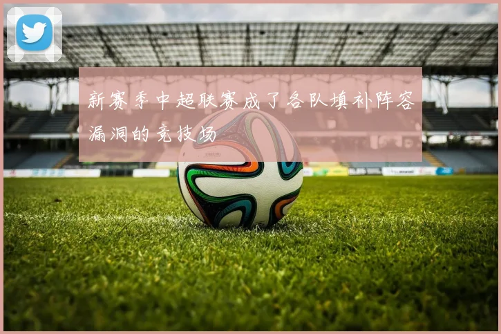 新赛季中超联赛成了各队填补阵容漏洞的竞技场