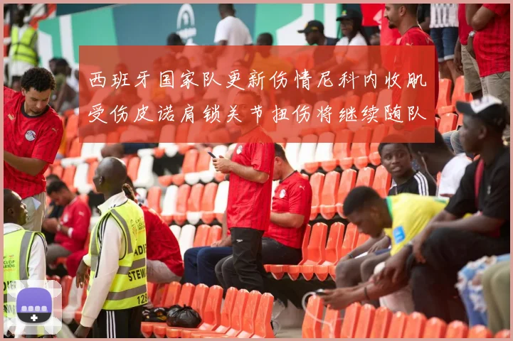 西班牙国家队更新伤情尼科内收肌受伤皮诺肩锁关节扭伤将继续随队训练